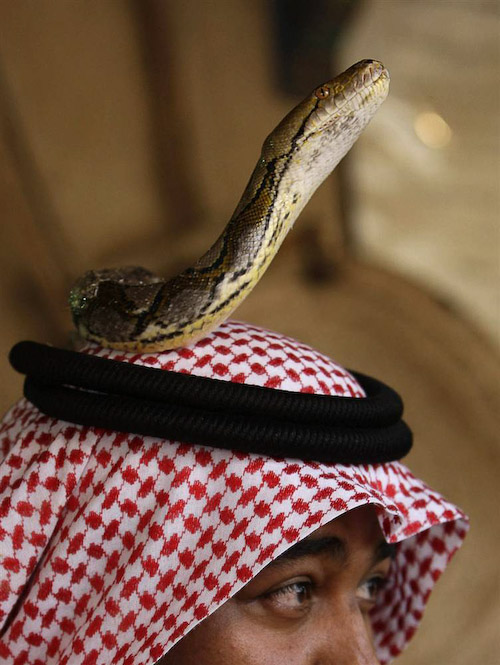 Змея на голове