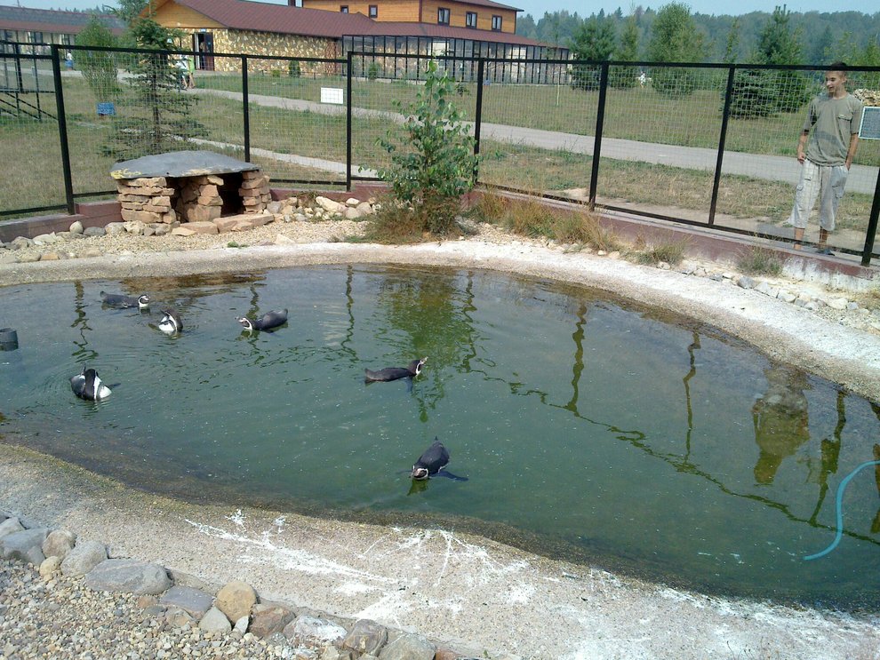 Парк птиц "Воробьи" - зоопарк в подмосковье