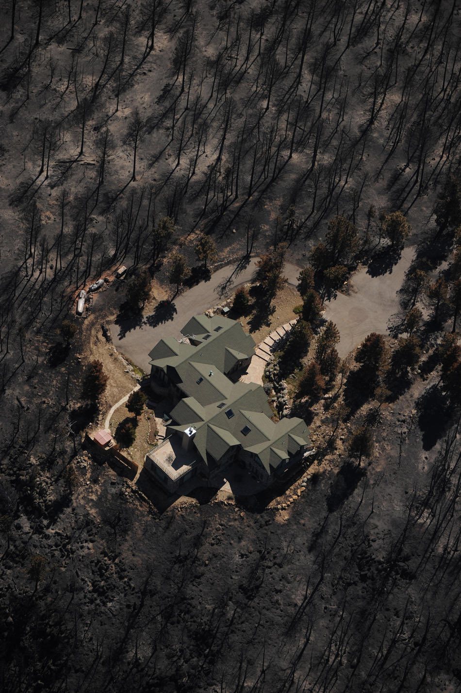 Последствия лесного пожара в каньоне Фомайл