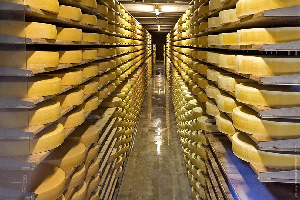 Груэр: как делают Швейцарский сыр?