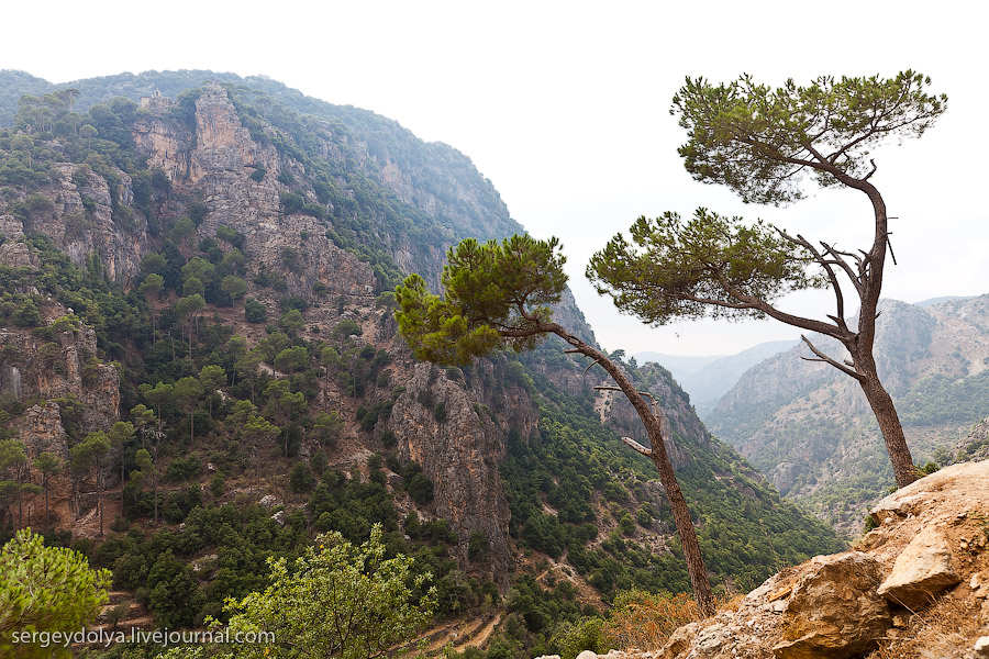 Ливанские горы (часть 2)