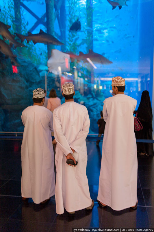аквариум в торгово-развлекательном центре «Дубай»