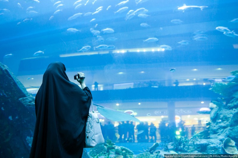 аквариум в торгово-развлекательном центре «Дубай»