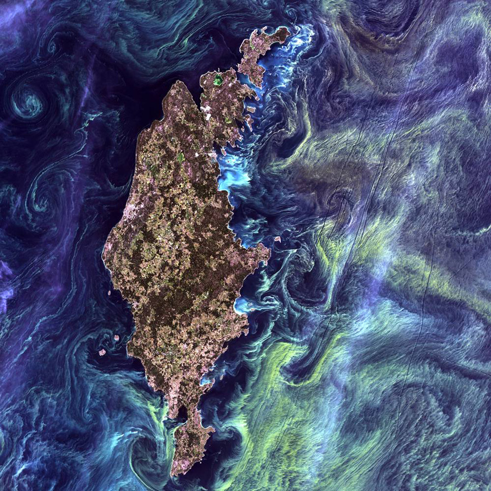 Фото Земли из космоса: цветение фитопланктона 