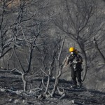 Лесной пожар в Израиле удалось взять под контроль