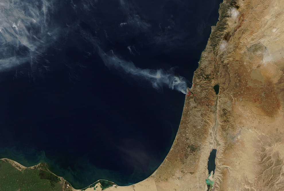 Пожар в Израиле удалось взять под контроль