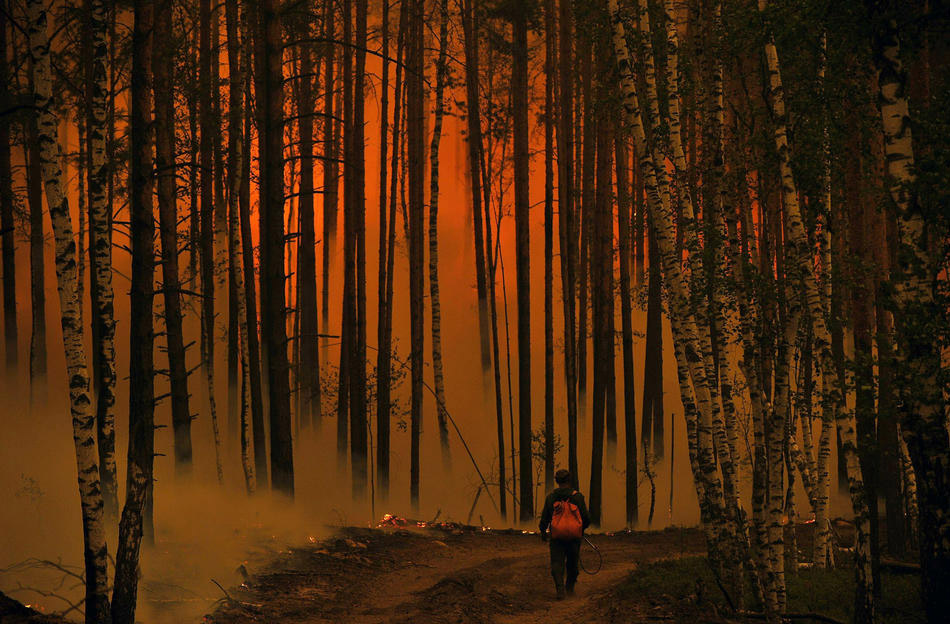 Лучшие фото года: лесные пожары в России