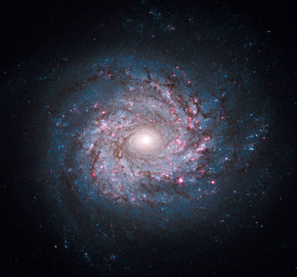 Космос: спиралевидная галактика NGC 3982