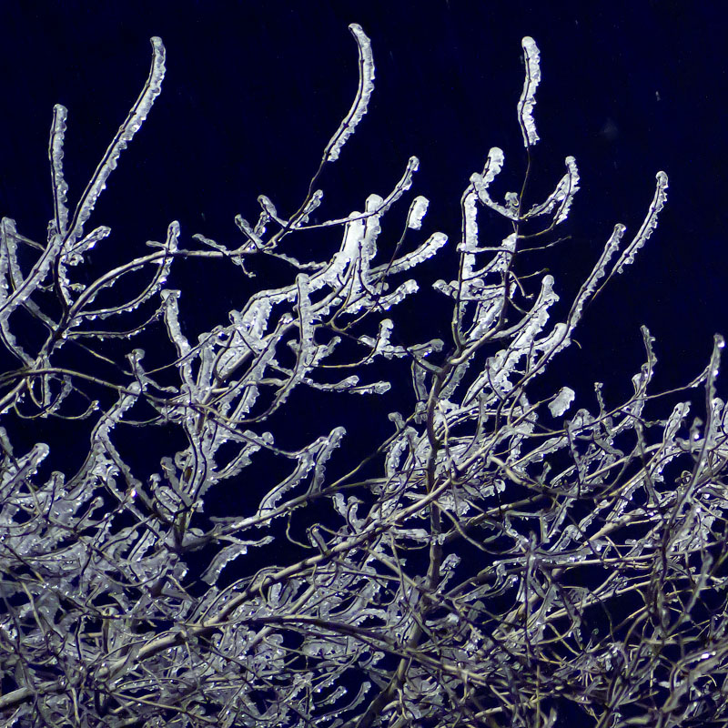 Лед на деревьях, ночной пейзаж