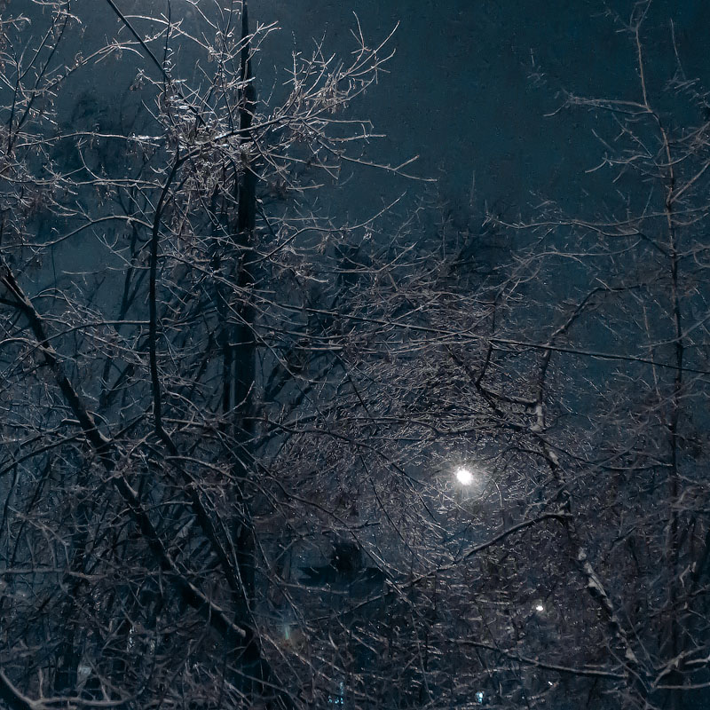 Лед на деревьях, ночной пейзаж