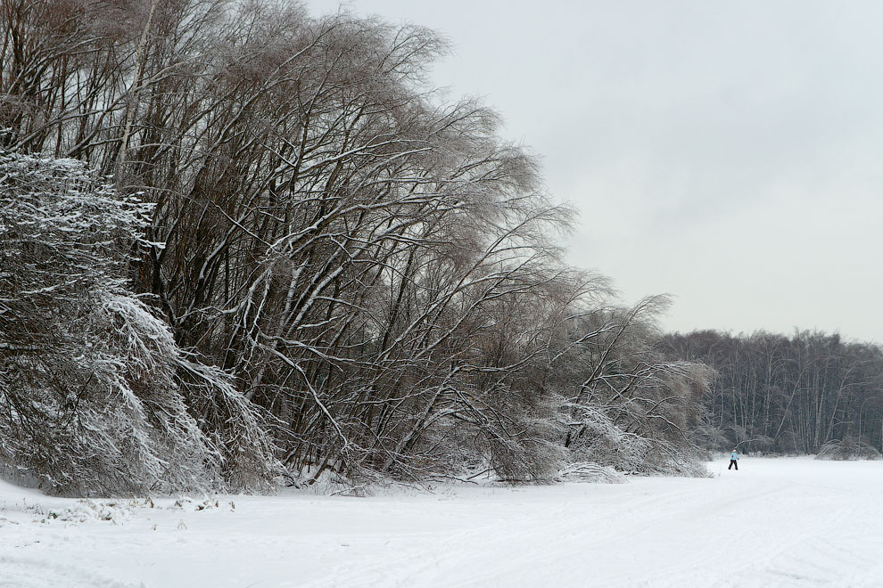 Зимний пейзаж в Серебряном бору