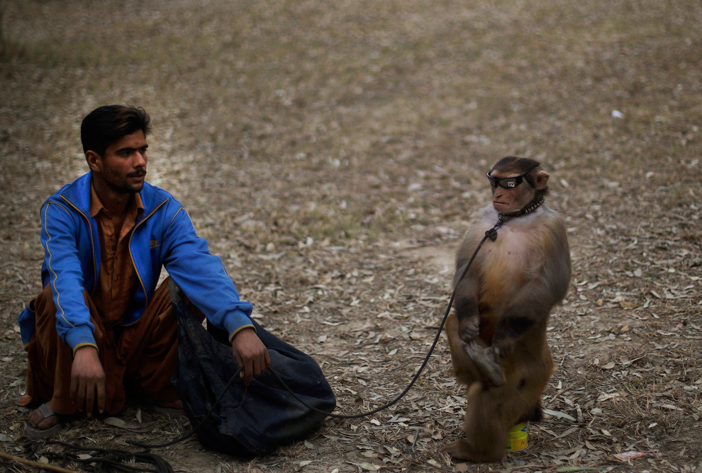 Мужчина и обезьяна сидят на земле.