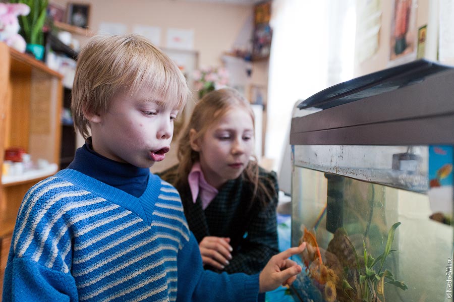 Дети центра "Колыбель" смотрят на аквариум.