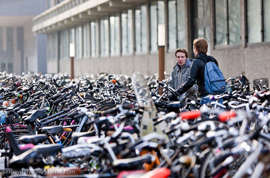 Стоянка велосипедов перед университетом.