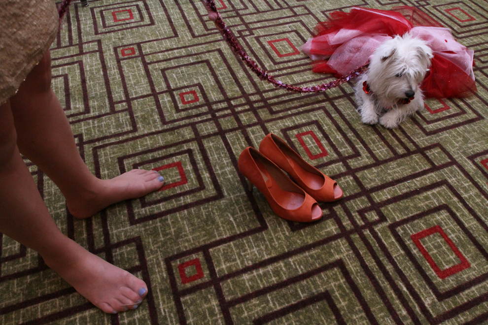 Женские ноги и собака на полу.