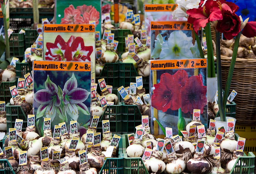 Цветы на рынке.