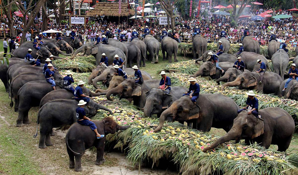 Празднование Дня слона