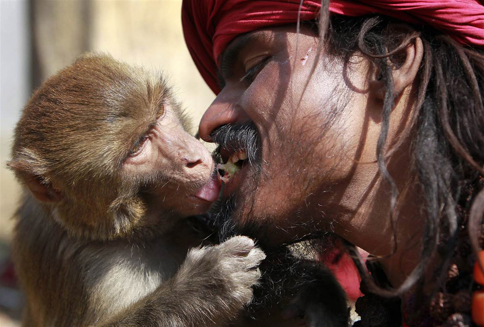 Мужчина кормит обезьяну