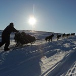 Гонки на собачьих упряжках «Iditarod 2011»