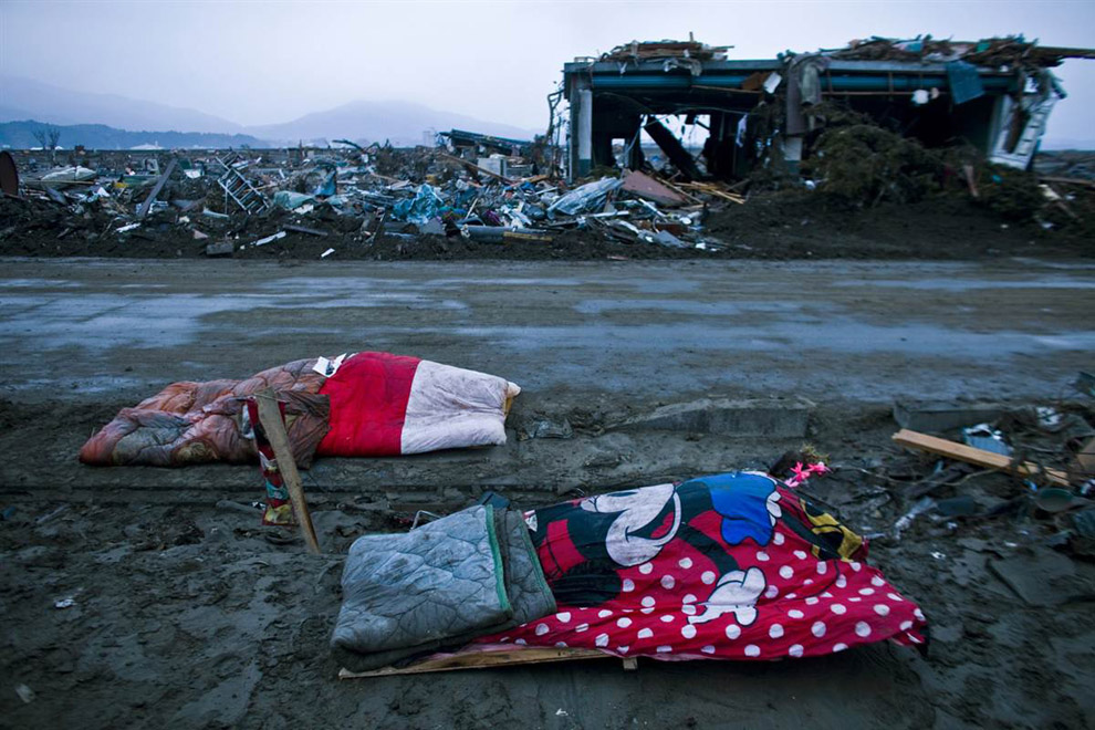 Тела жертв землетрясения и цунами
