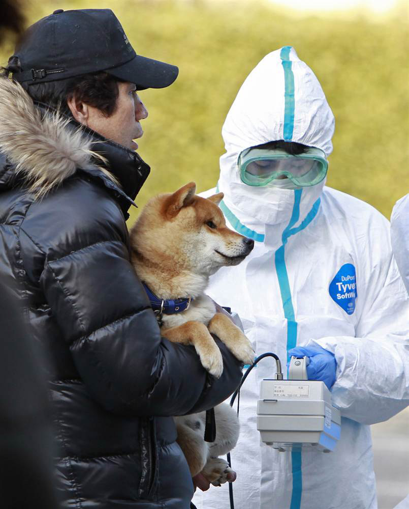Возможная утечка радиации в Японии