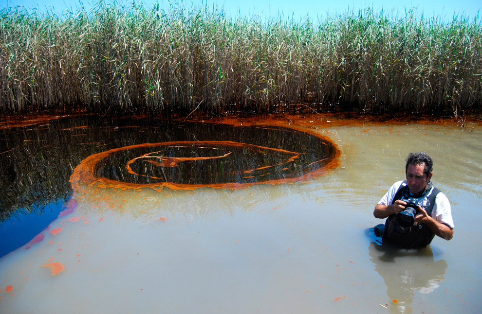 Загрязненное нефтью болото