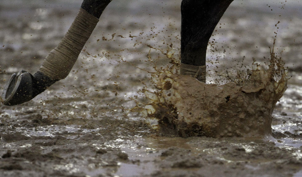 Лошадь бежит по грязи