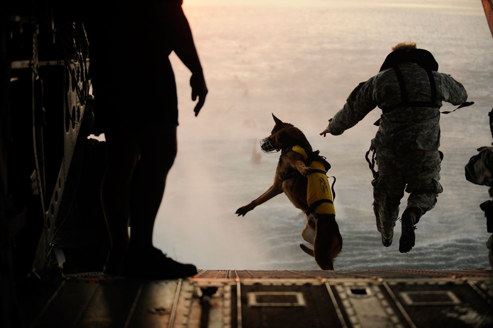 Солдат армии и его собака