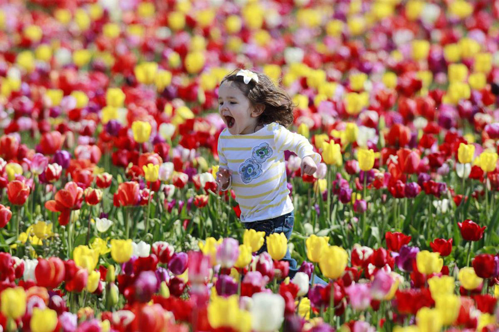 Девочка на поле тюльпанов