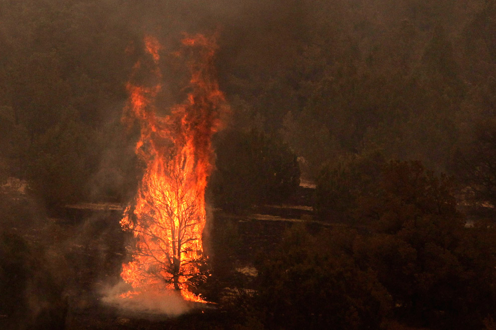 Лесной пожар в Аризоне