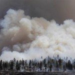 В США бушует лесной пожар «Уоллоу» 