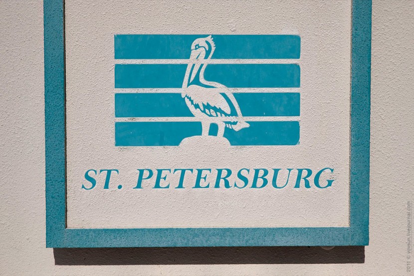 В гостях у пеликанов (Санкт-Петербург)