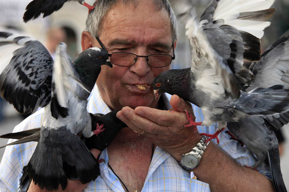Мужчина кормит голубей