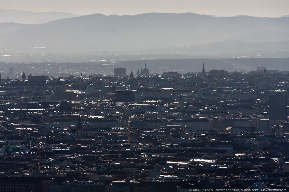Вена: панорамы города с высоты