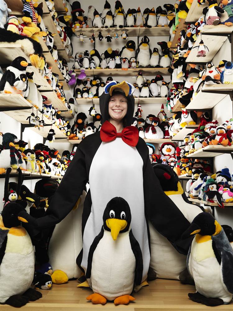 Крупнейшая коллекция пингвинов