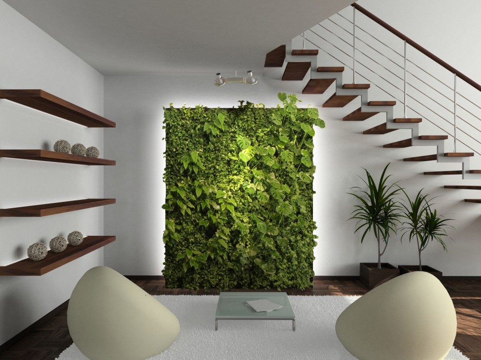 стены из растений