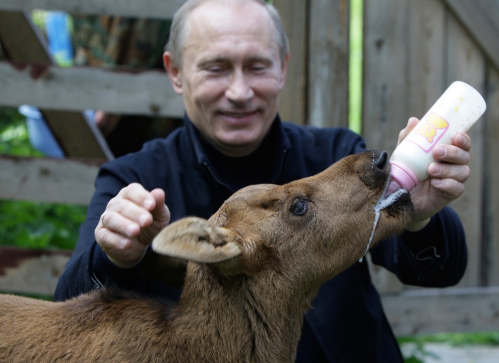 Путин кормит лося