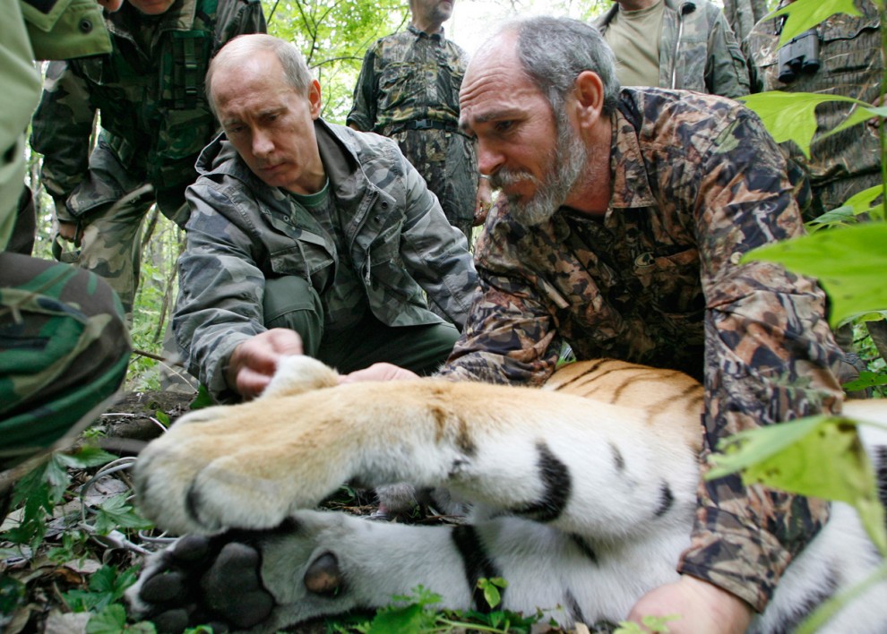 Путин с тигром