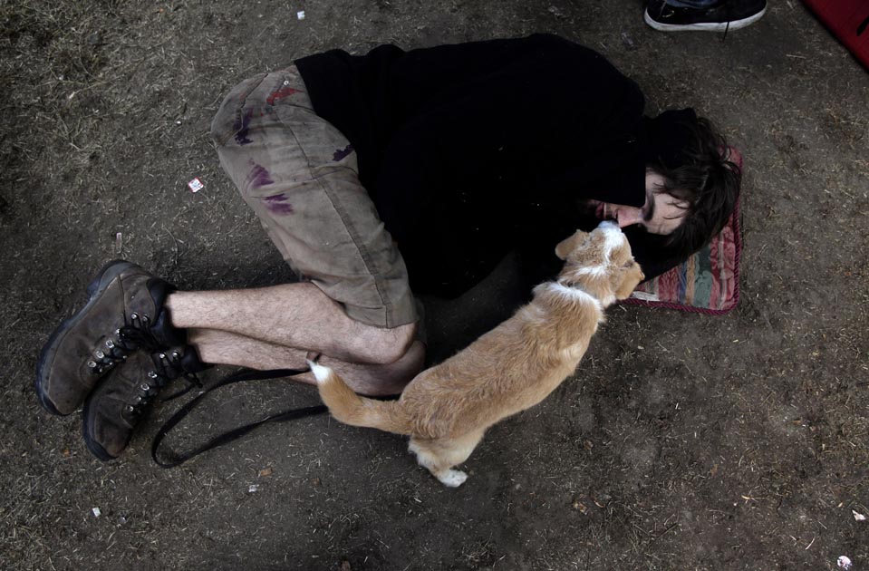 28. 22-летний американский участник митинга в Лос-Анжелесе спит на земле. К нему присоединился и бездомный щенок. (Jae C. Hong/Associated Press) Любовь собаки