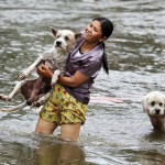 Спасение животных в затопленном Таиланде