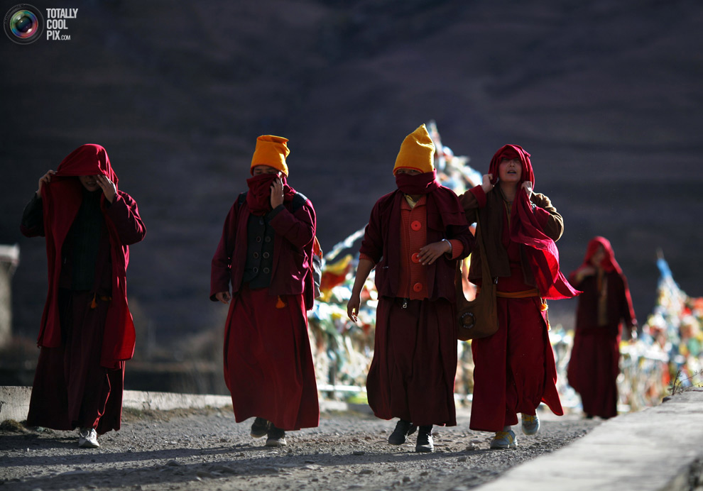 Тибетские буддийские монахини