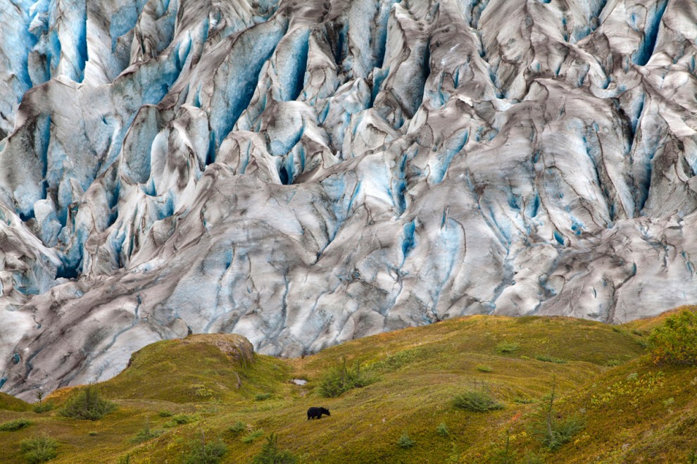 Фотоконкурс National Geographic 2011: ледник
