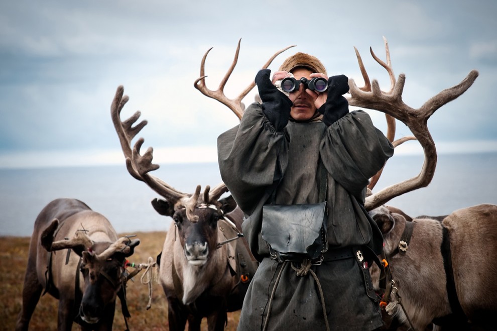Фотоконкурс National Geographic 2011: олени