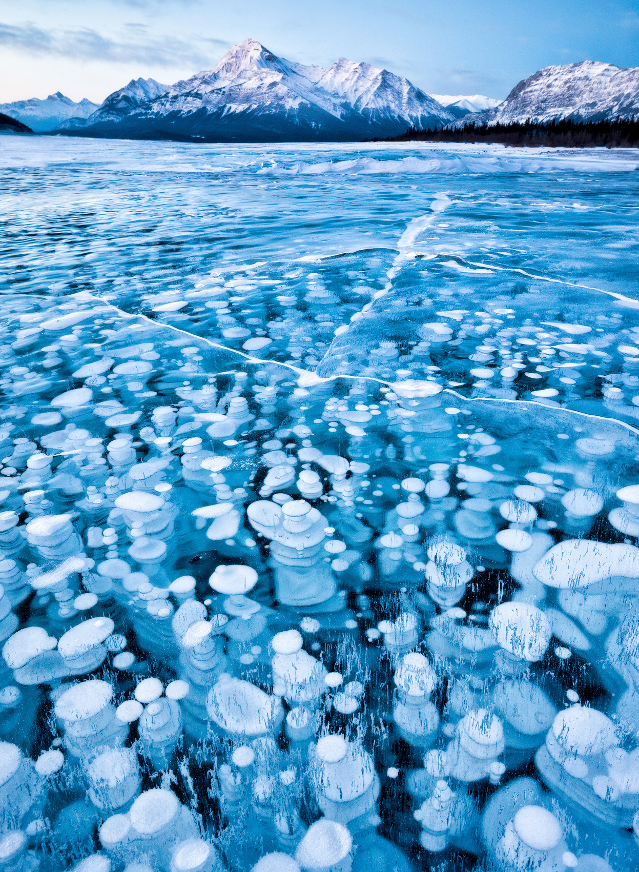 Фотоконкурс National Geographic 2011: пузыри в замерзшей воде