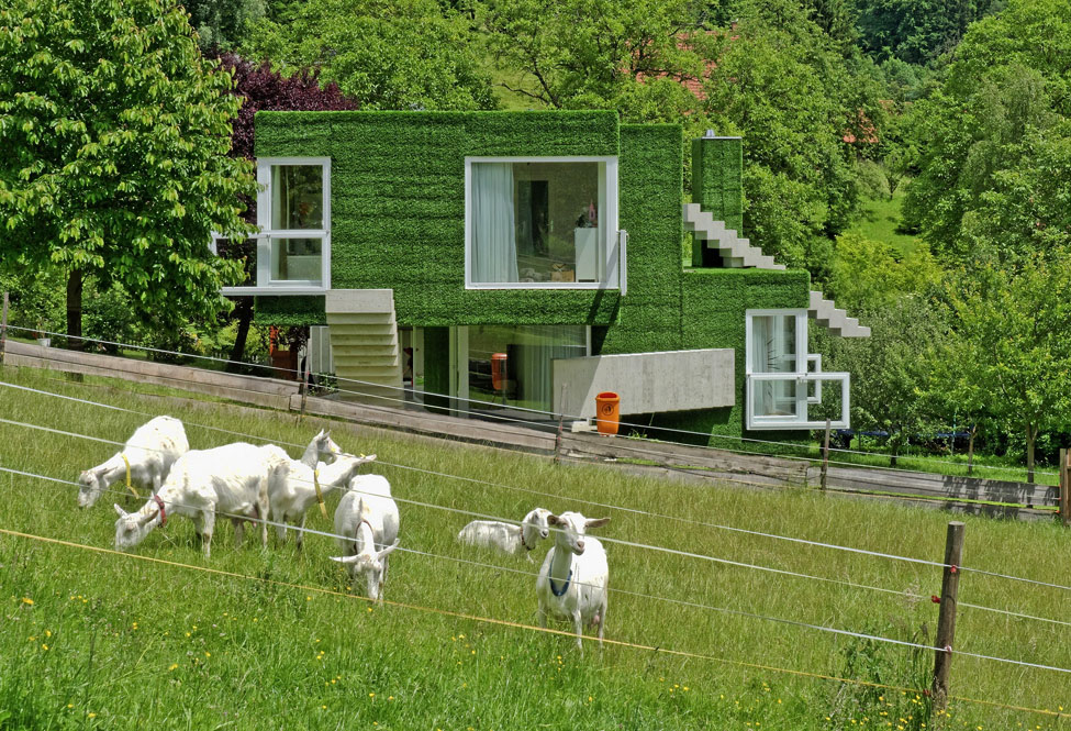 Необычный дом в Австрии.