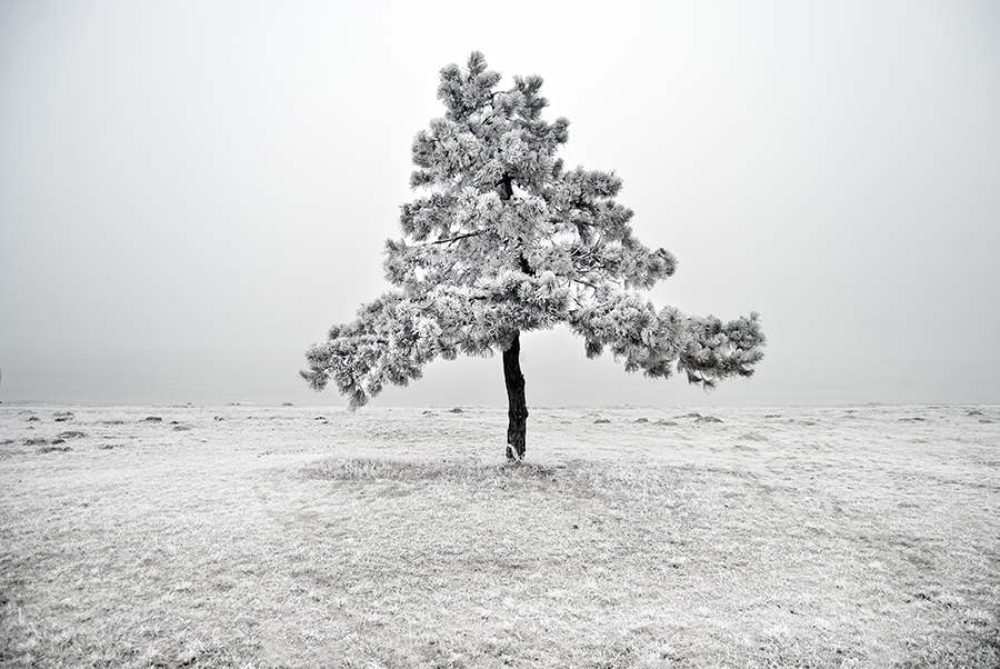 Фотограф Akos Major.