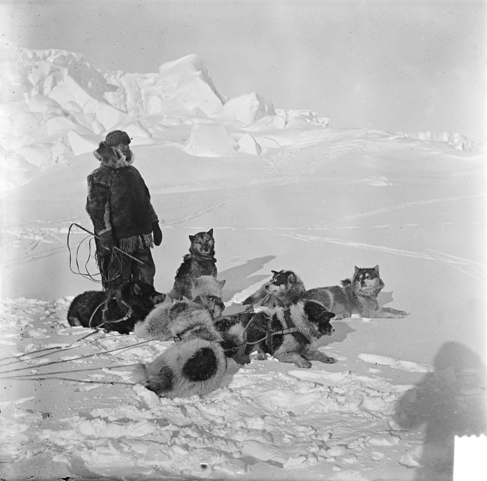 Амундсен, покорение Южного полюса