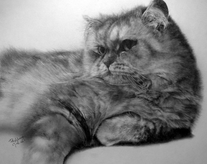Кошки, нарисованные карандашом
