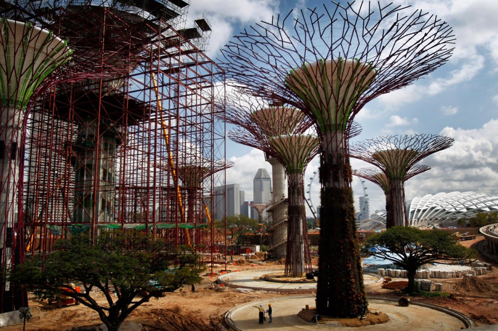 Деревья из бетона в Сингапуре