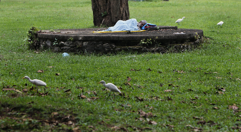 Бездомный в парке